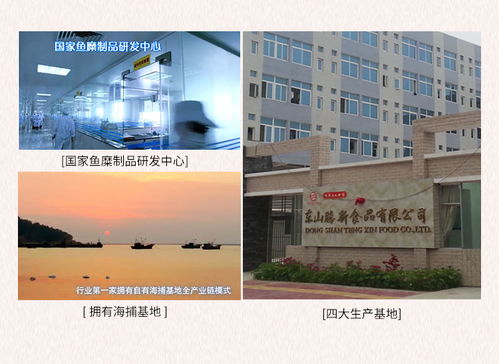 海欣休閑食品手撕蟹肉棒 南寧辦公軟件開發與銷售團隊的理想能量伴侶