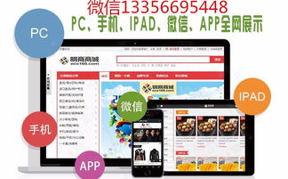 兩地科技開發費用解析 大連直銷系統制作與南寧辦公軟件市場報價